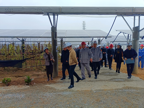 2cc96dd5d2a40a1632d29a5aa1276601.png 省工業(yè)和信息化廳副廳長(zhǎng)吳東文及縱向幫扶組團(tuán)單位一行到葵潭農(nóng)場(chǎng)調(diào)研3.png