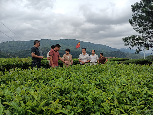 db38d5076a786159c1684e65622d3f27.png 普寧市人大1.png