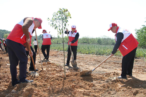 118ca4539b6d608fd63b64b799417cdd.png 綠美2.png