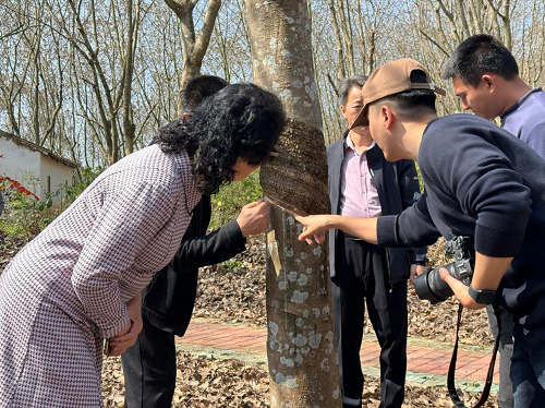 e3fd6bd56f708d923675d3b9348d6225.png 市政協(xié)副主席吳少珍一行參觀粵東農(nóng)墾歷史陳列館2.png