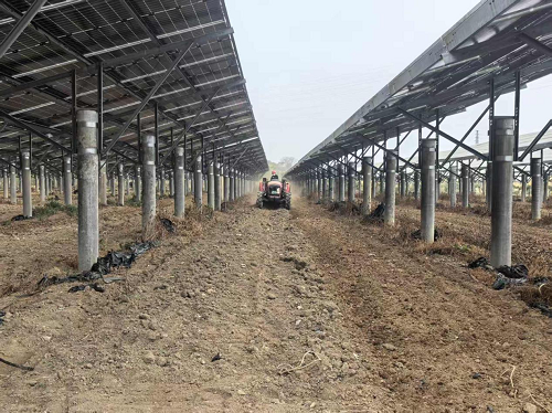 feec40023e746ba16fbc9d80735882e4.png 圖為葵潭農(nóng)場(chǎng)全面開(kāi)展犁地備耕景象.png